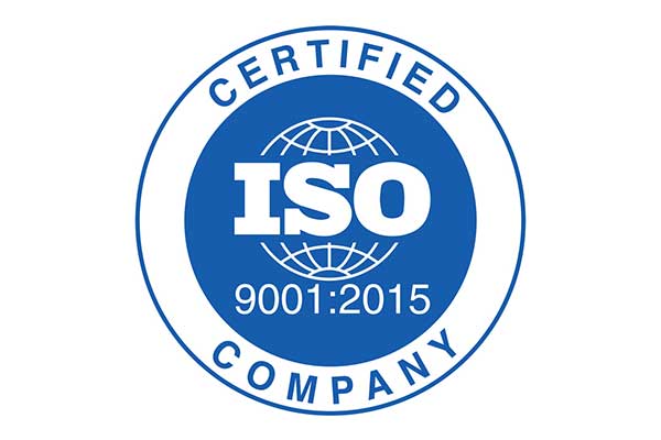 ISO 9001 yearly audit