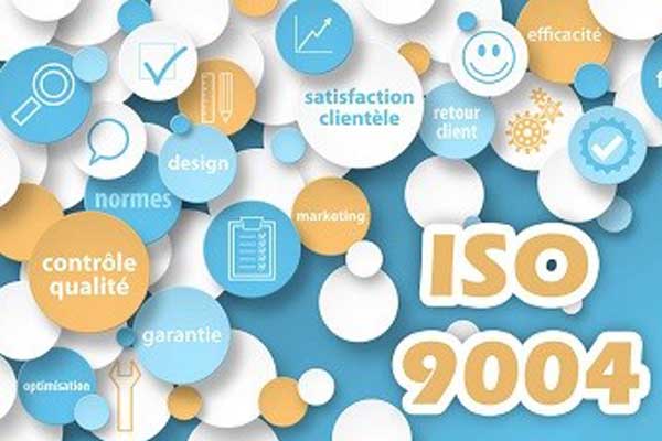 What is ISO 9004 document structure