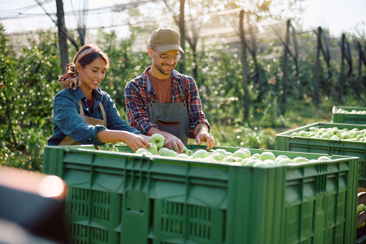 food supply chain